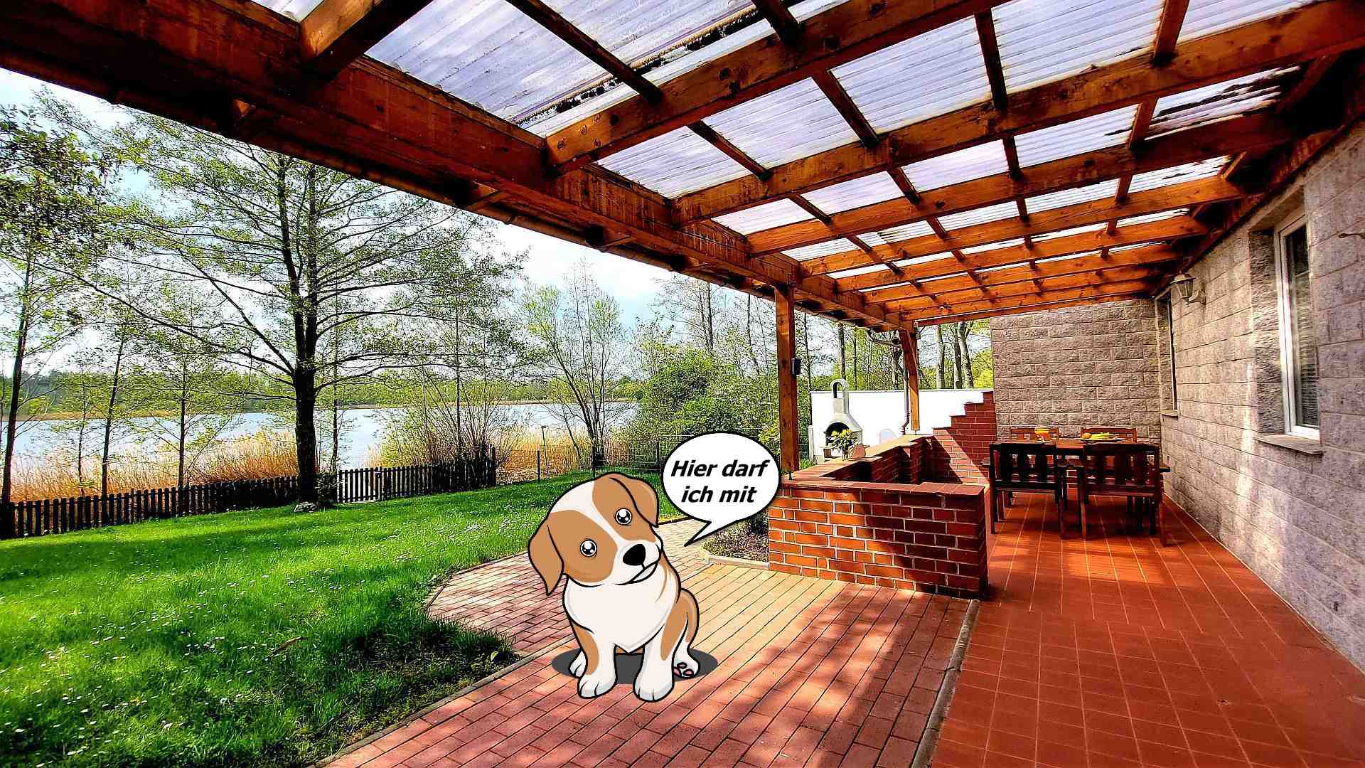 Hunde erlaubt Image